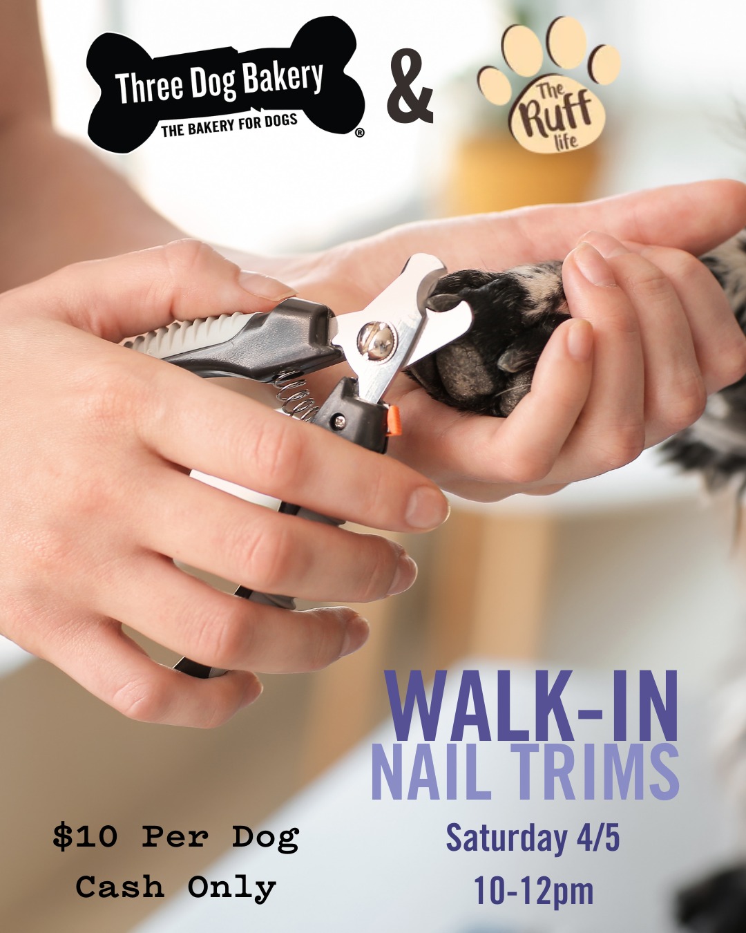 nail-trimming-services-for-dogs-three-dog-bakery-bellmore-long-island-new-york Walk-in Nail Trims for Dogs at Three Dog Bakery in Bellmore Long Island New York